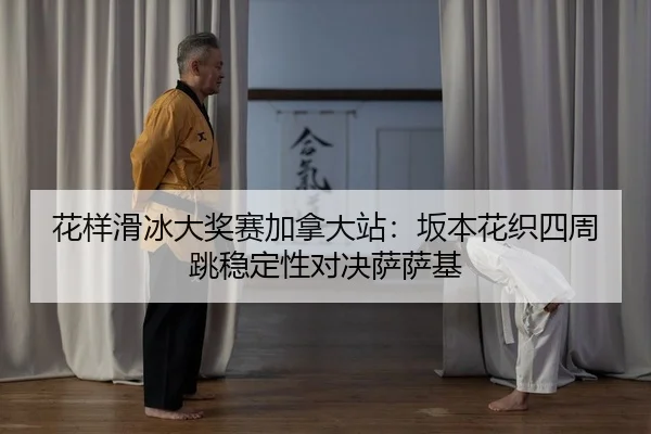 hua-yang-hua-bing-da-jiang-sai-jia-na-da-zhan-ban-ben-hua-zhi-si-zhou-tiao-wen-ding-xing-dui-jue-sa-sa-ji-2-928.jpg